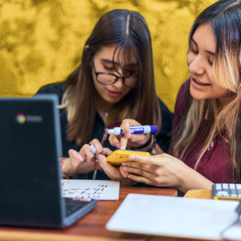 Student and tutor in front of a laptop